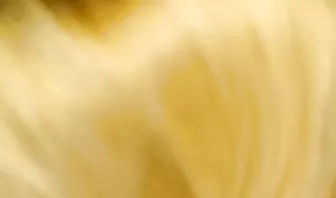 Жена отсасывает хуй мужа и вылизывает его очко